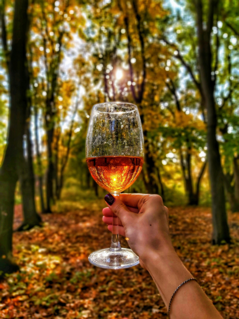 Savoring Autumn: How to Enjoy Texas Wine in the Fall